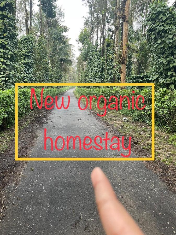 New Organic Home Stay Mudigere Zewnętrze zdjęcie