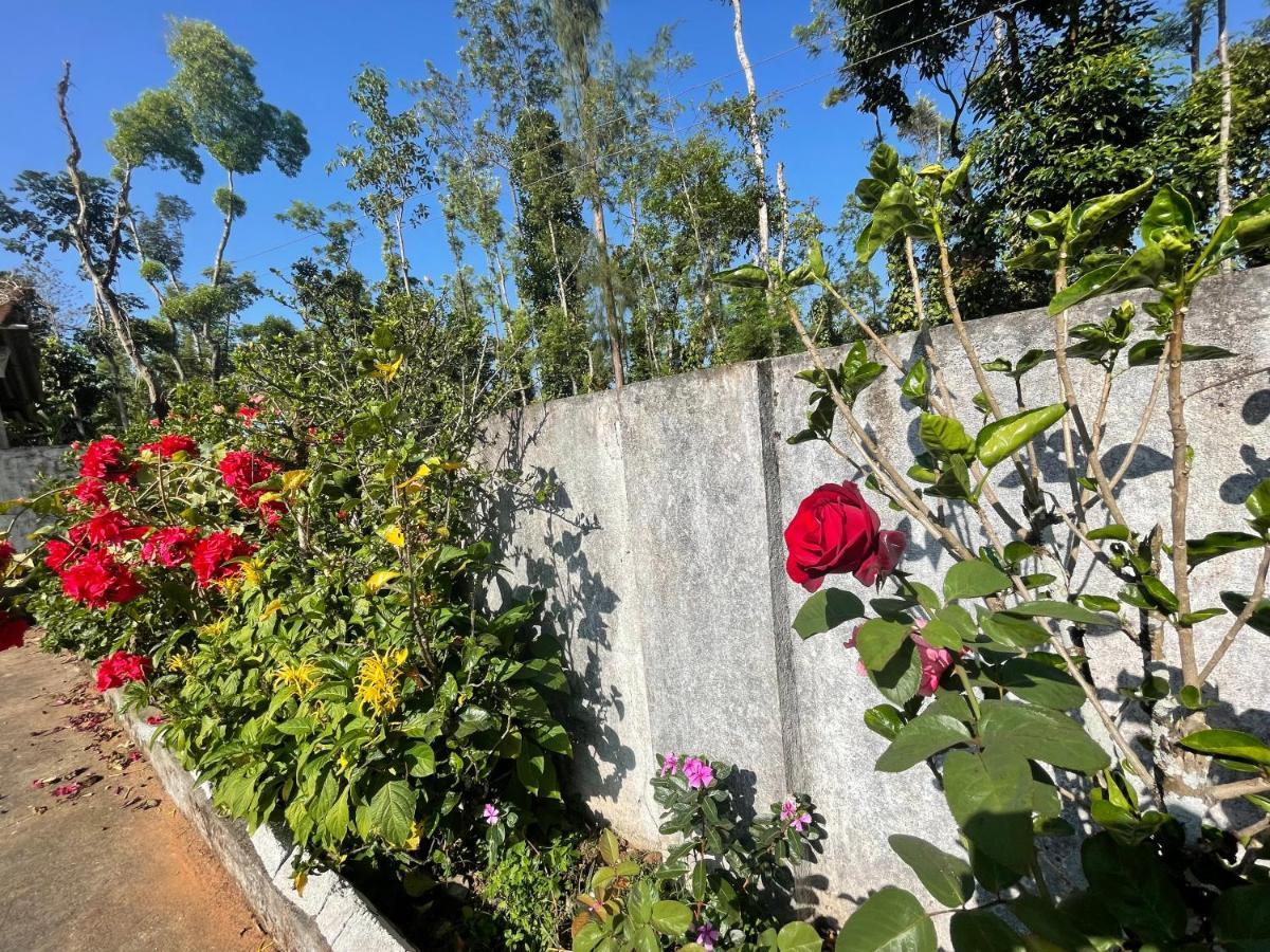 New Organic Home Stay Mudigere Zewnętrze zdjęcie